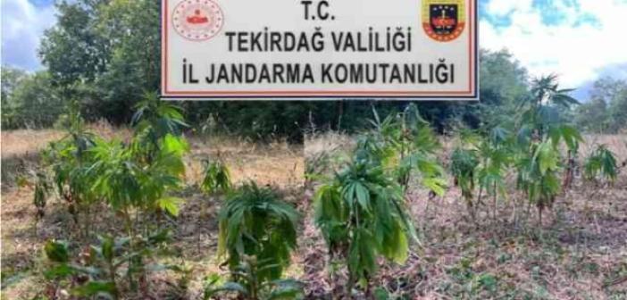 Tekirdağ’da uyuşturucu operasyonu: 1’i Gürcistan uyruklu 4 kişi tutuklandı