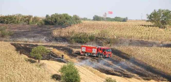 Edirne’de anız yangını