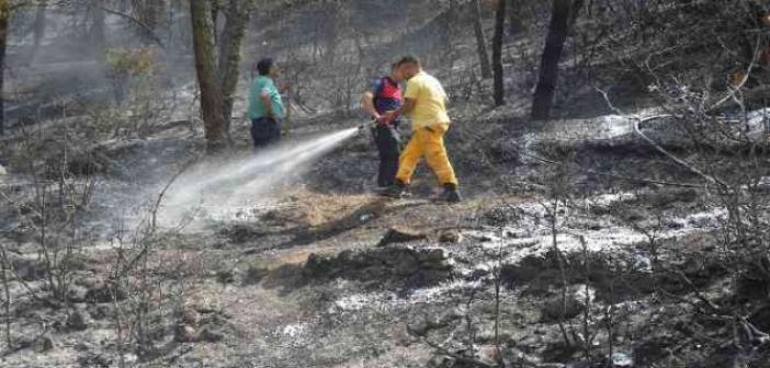 Tokat’taki orman yangınında 5 dönümlük alan zarar gördü