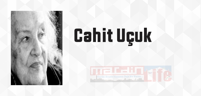 Gümüş Kanat - Cahit Uçuk Kitap özeti, konusu ve incelemesi