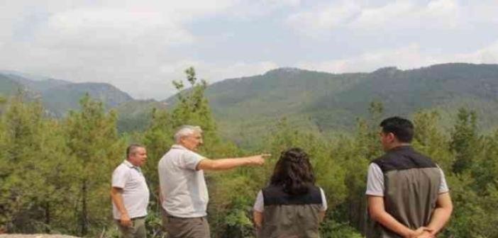 Adana OGM ormancılık faaliyetlerini yerinde inceliyor
