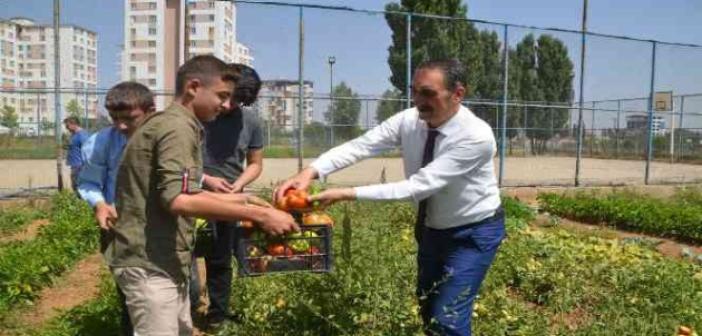 Muş’ta okul bahçesinde yetiştirilen sebzeler ihtiyaç sahiplerine dağıtılıyor