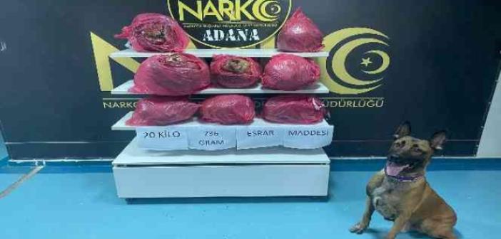 Adana’da 20 kilo 736 gram esrar ele geçirildi