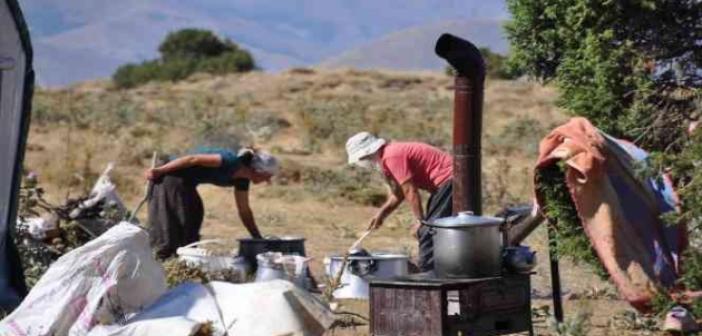 Huzur kenti Tunceli’de yaylacılar güven içerisinde dağlara çıkıp hayvancılık yapıyor