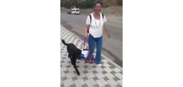 Muhtarın çantasını taşıyan sokak köpeği gülümsetti
