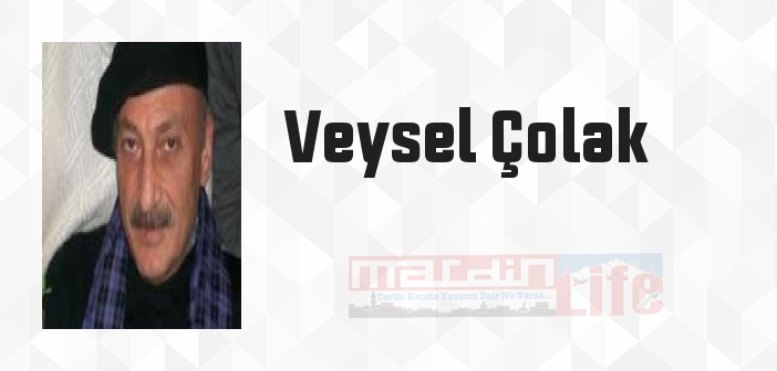 Veysel Çolak kimdir? Veysel Çolak kitapları ve sözleri