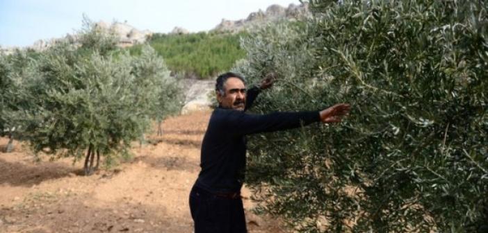 VİDEO - Huzuru diktiği yüzlerce ağaçta buldu