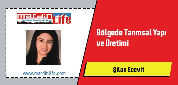 Bölgede Tarımsal Yapı ve Üretimi