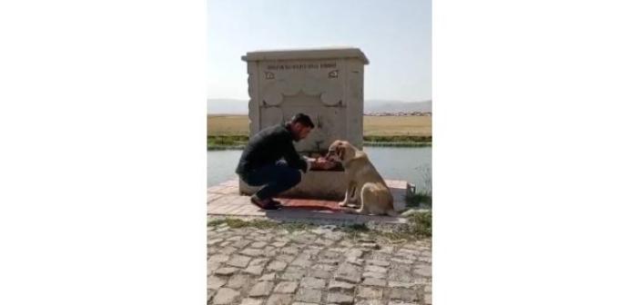 Sıcaktan bunalan köpeğe elleri ile su verdi