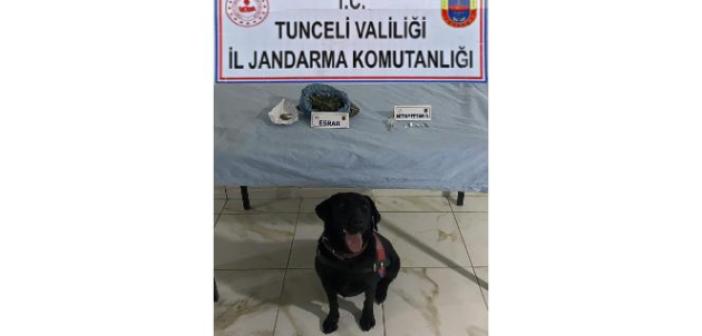 Tunceli’de uyuşturucudan 2 gözaltı