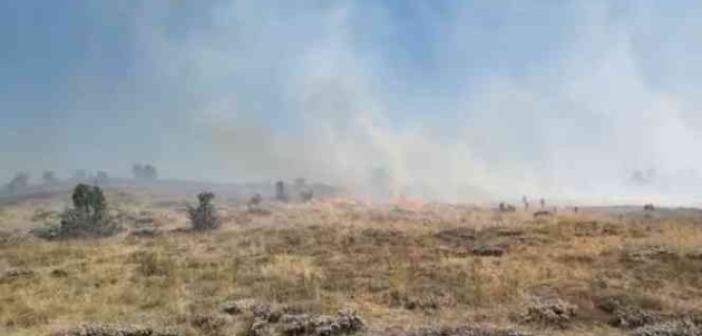 Giresun’da örtü yangını, ormana sıçramadan kontrol altına alındı