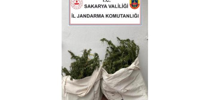 Sakarya’da uyuşturucu operasyonu: 1 gözaltı