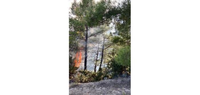 Adana’da çifte orman yangını