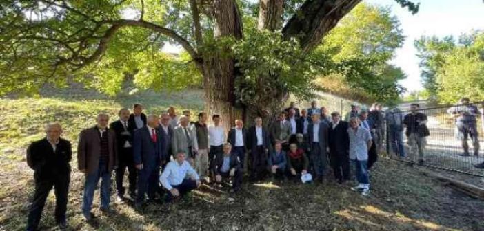 Artvin’de bulunan dünyanın en yaşlı armut ağacında meyve hasadı yapıldı