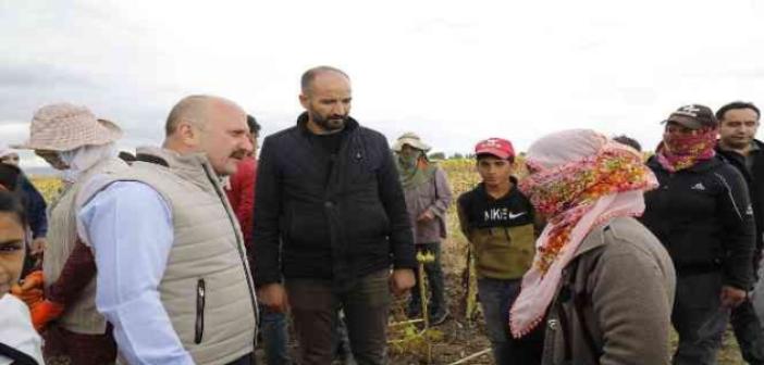 Ağrı’da ayçiçeği üreticiliği yaygınlaşıyor