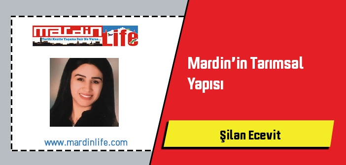 Mardin’in Tarımsal Yapısı