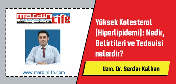 Yüksek Kolesterol (Hiperlipidemi): Nedir, Belirtileri ve Tedavisi nelerdir?