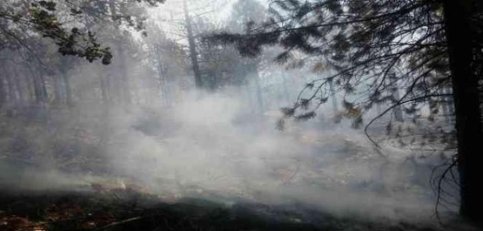 Malatya’da ormanlık alanda yangın