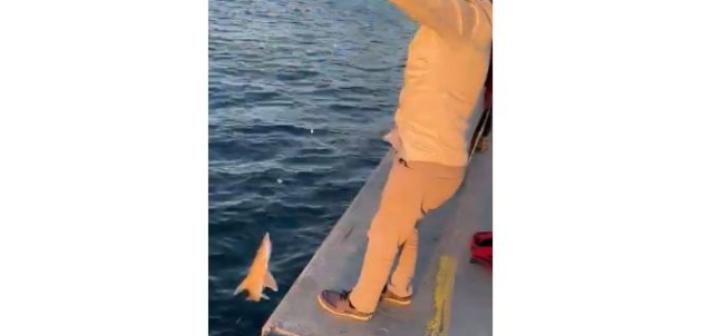 Beykoz’da şaşkına çeviren olay: Vatandaşın oltasına köpek balığı takıldı