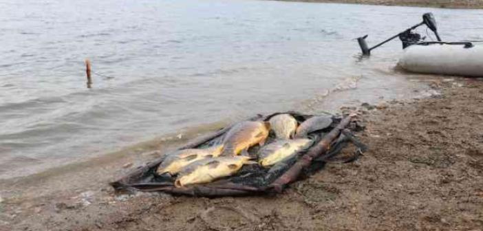 Bolu’da kiloluk sazan balıkları kıyıya vurdu