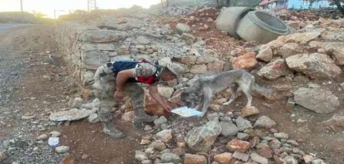 Elazığ’da jandarmadan 4 Ekim Dünya Hayvanları Koruma Günü etkinliği