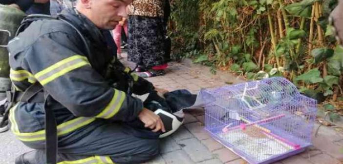 Muhabbet kuşunu yangından itfaiye ekipleri kurtardı