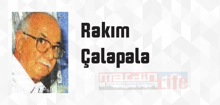 87 Oğuz - 100 T.E. İlköğretim - Rakım Çalapala Kitap özeti, konusu ve incelemesi