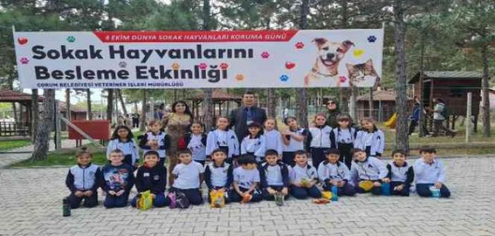 Öğrencilerden evcil hayvan parkına yoğun ilgi