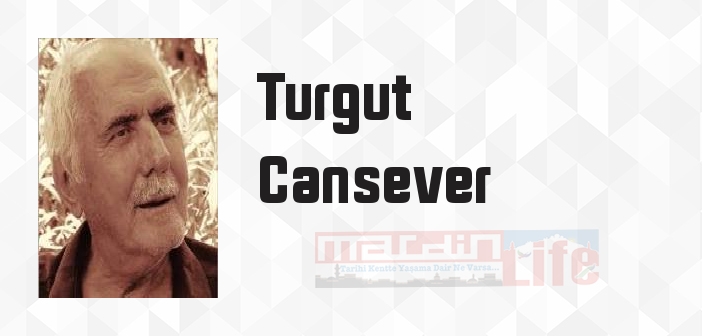 Osmanlı Şehri - Turgut Cansever Kitap özeti, konusu ve incelemesi