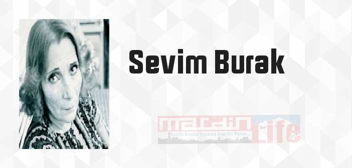 Ford Mach I - Sevim Burak Kitap özeti, konusu ve incelemesi