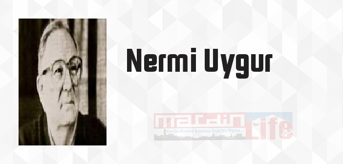 Yaşama Felsefesi - Nermi Uygur Kitap özeti, konusu ve incelemesi