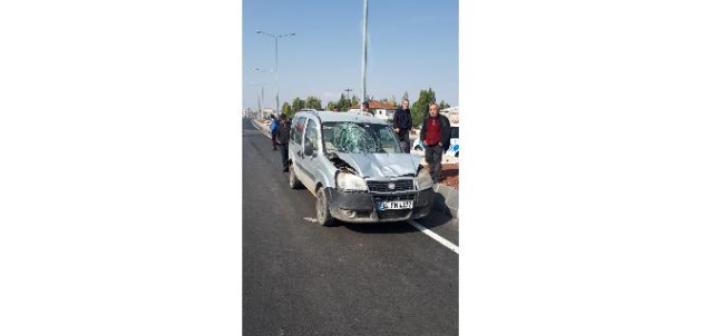 Ağrı’da trafik kazası; 1 ölü, 1 yaralı