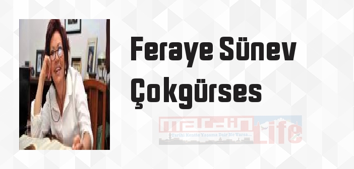 Bacak Arasından Türkiye - Feraye Sünev Çokgürses Kitap özeti, konusu ve incelemesi