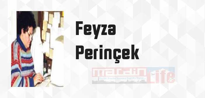 Cemal Süreya "Şairin Hayatı Şiire Dahil" - Feyza Perinçek Kitap özeti, konusu ve incelemesi