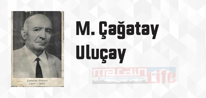 Harem II - M. Çağatay Uluçay Kitap özeti, konusu ve incelemesi