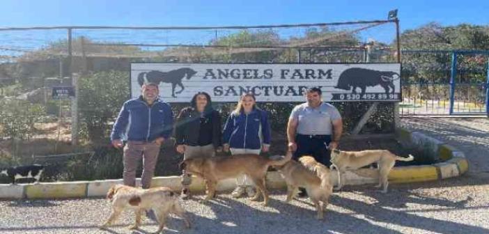 AKG Türkiye ve Angels Farm Sanctuary, doğal yaşam için el ele