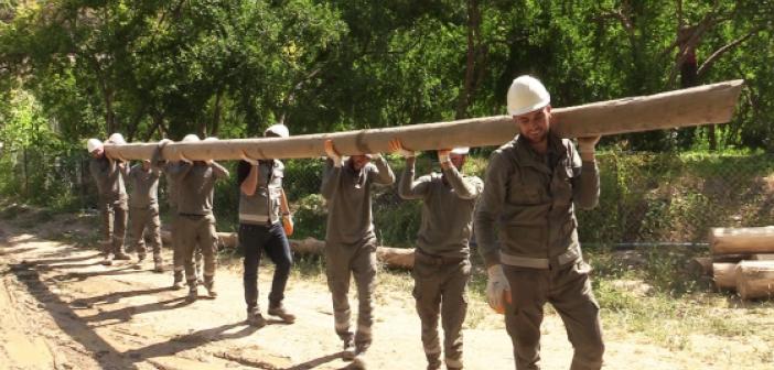 Dicle Elektrik şebekeyi kışa hazırlıyor