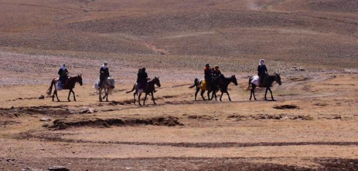 Mardin'den Muş'a talandan kaçtılar; 11 Köyün sahibi oldular