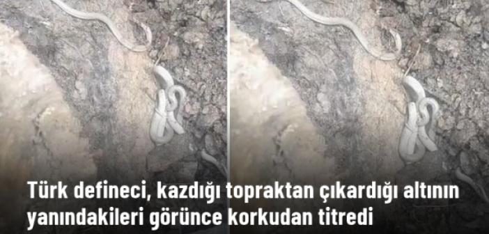 Defineci, kazdığı topraktan çıkardığı altının yanındakileri görünce korkudan titredi