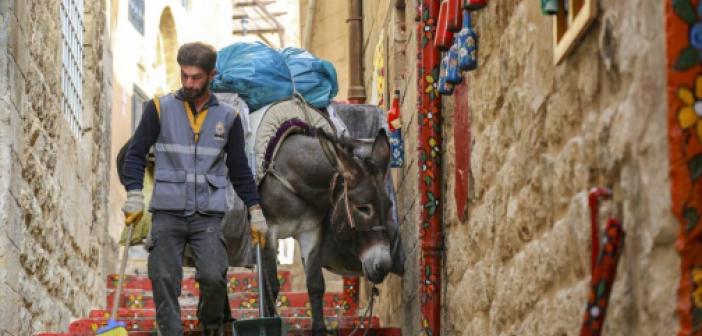 Mardin'in yükünü eşekler çekiyor