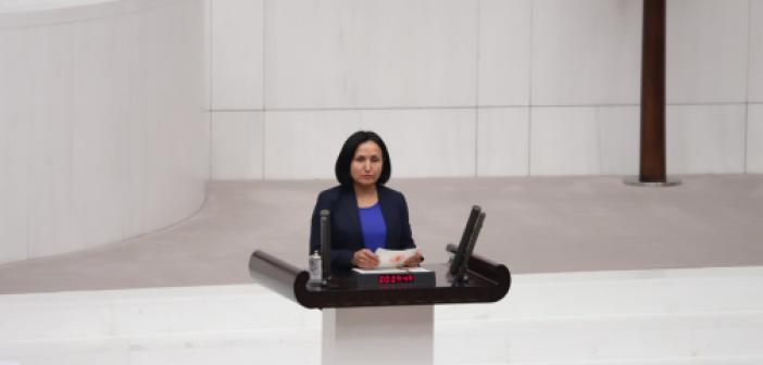 HDP'li Dündar, Kadına Yönelik Şiddeti Meclise taşıdı