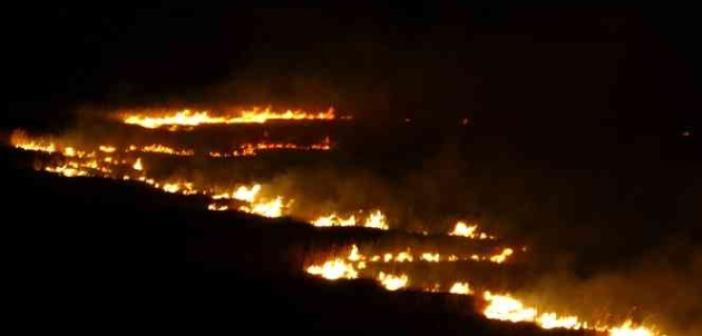 Yüksekova’nın kuş cenneti 4 gündür alev alev yanıyor