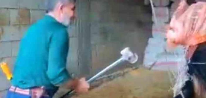 Mardin’de boğanın kafasına balyoz ile vuran kasap gözaltına alındı