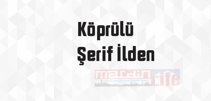 Sarıkamış - Köprülü Şerif İlden Kitap özeti, konusu ve incelemesi