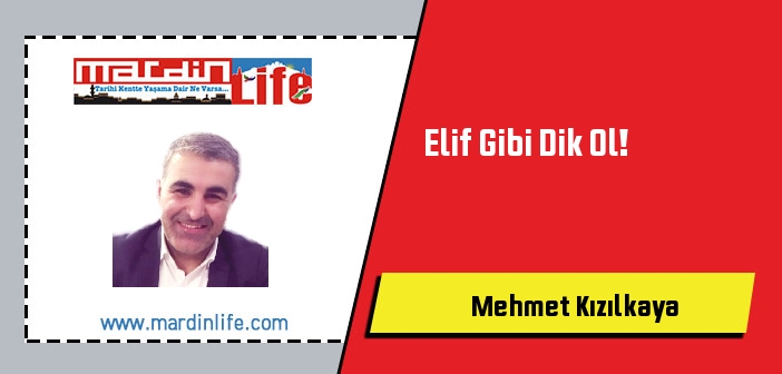 Elif Gibi Dik Ol!