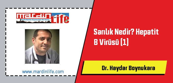 Sarılık Nedir? Hepatit B Virüsü (1)