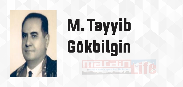 Milli Mücadele Başlarken - M. Tayyib Gökbilgin Kitap özeti, konusu ve incelemesi