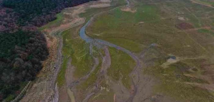 Suların çekildiği Ömerli Baraj’ında artık büyükbaş hayvanlar otlatılıyor