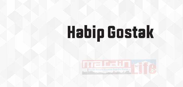 Habip Gostak kimdir? Habip Gostak kitapları ve sözleri