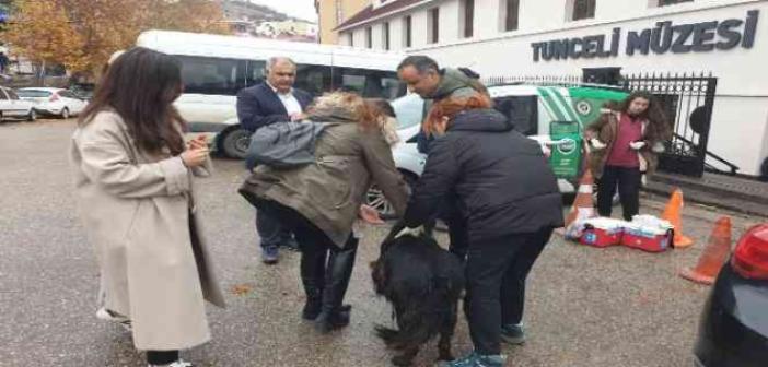 Tunceli’de sokak hayvanlarını aşılama kampanyası başlatıldı